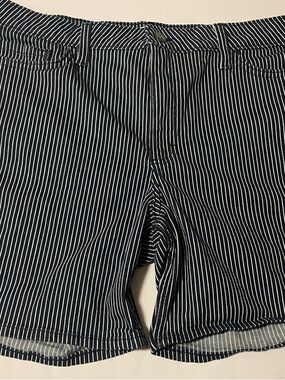 Lee Navy and White Pinstripe Shorts